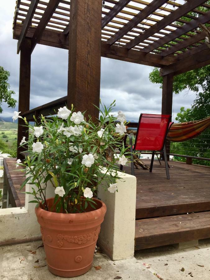 Villa Vassallo Понсе Екстер'єр фото